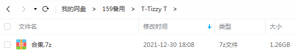 Tizzy T精选歌曲合集-说唱单曲60首歌曲打包