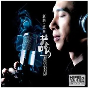 赵鹏专辑低音演唱者所有歌曲合集-16张专辑(2004-2020)无损音乐打包