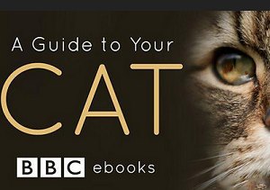 BBC纪录片之《猫咪观察》1-3集英语中文字幕高清合集