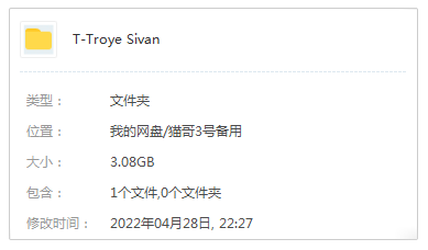 戳爷/Troye Sivan精选发烧歌曲合集-38张专辑+流行单曲打包