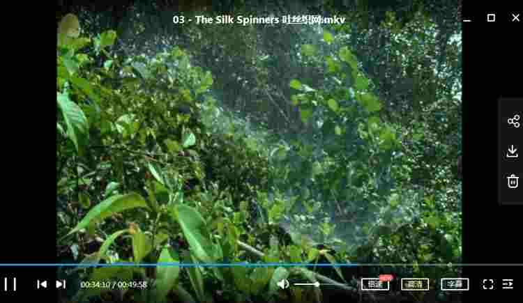 BBC纪录片之《灌丛下的生命》1-5集英语中文字幕高清合集