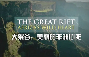 BBC《大裂谷:美丽的非洲心脏》纪录片3集中文字幕合集