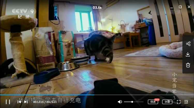 CCTV-9纪录片《小宠当家》1-5集国语中文字幕高清合集