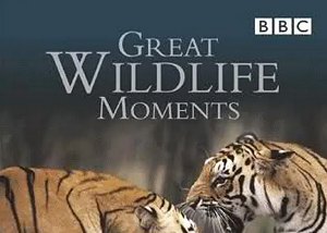 BBC纪录片之《野生动物奇观》1-2集英语中文字幕