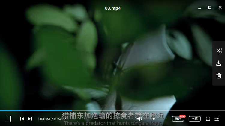 《地球的夜晚》纪录片1-6集英语中文字幕高清合集