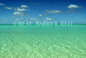 BBC纪录片之《大堡礁》1-3集英语中文字幕高清合集