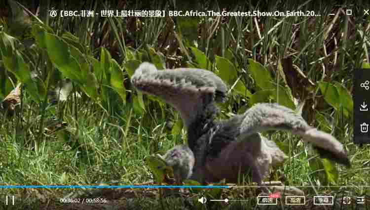 BBC纪录片之《非洲－世界上最壮丽的景象》全集超清英语中文字幕