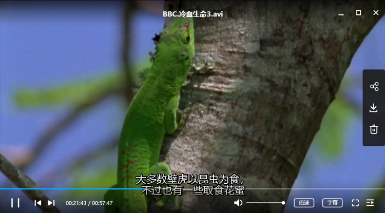 BBC《冷血生命》纪录片1-5集英语中文字幕打包合集