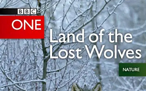 BBC《狼群失落之地》纪录片2集英语中文字幕超清合集