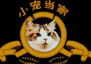 CCTV-9纪录片《小宠当家》1-5集国语中文字幕高清合集