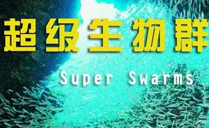 BBC纪录片之《超级生物群》1-2集英语中文字幕高清合集