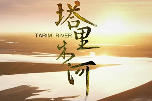 大型系列纪录片《塔里木河》全6集国语中文字幕高清合集
