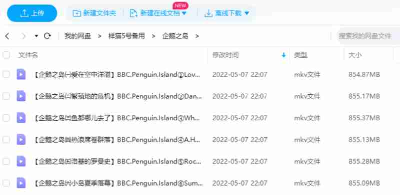 BBC纪录片之《企鹅岛》1-6集英语中文字幕高清合集