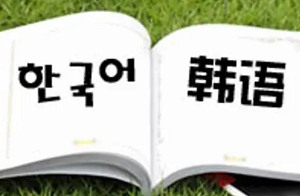韩语从基础到入门系列教学课程视频+音频+文档合集