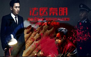 徐昂执导的电视剧《法医秦明》系列全3季+电影4部高清国语中文字幕合集