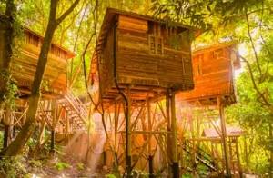 《神奇树屋(Magic Tree House)》6本完结版视频+课件大合集