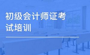 《初级会计职称考试教学培训视频资料》视频+课件合集