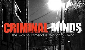 《犯罪心理》1-15季全322集英语发音中文字幕高清合集