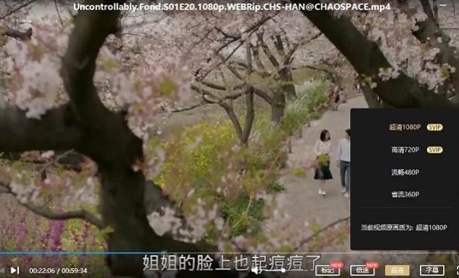 韩国电视剧《任意依恋》1080P画质韩语中文字幕高清合集