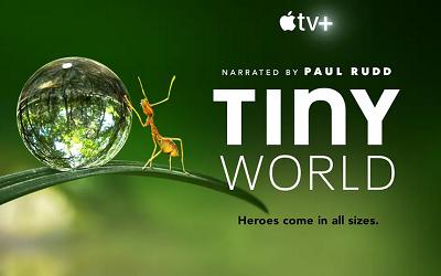 大自然科普纪录片《小小世界(Tiny World)》第一季高清合集