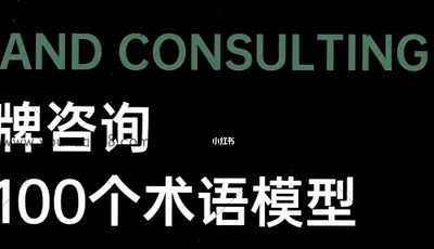 藏锋《品牌咨询的100个术语模式》完结版视频合集