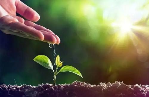 《少儿心理咨询师》38节课程教学视频合集