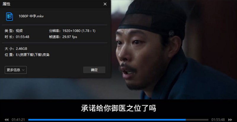 电影《夜枭》1080P画质高清韩语中翰墨幕[MP4]百度云网盘下载