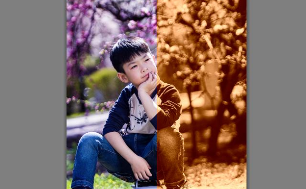 tiffen dfx 4.0.8汉化版(ps一键调色滤镜插件) 中文免费版