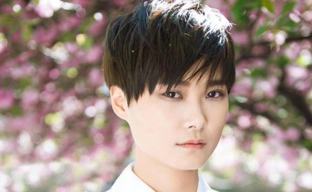 李宇春专辑歌曲合集-17张专辑无损音乐合集打包