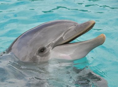 新加坡南洋艺术学院好不好？ 新加坡南洋艺术学院qs