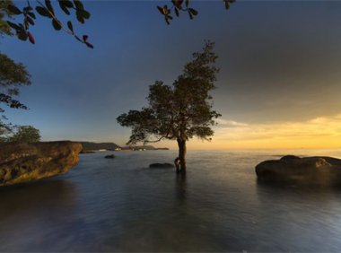 BTS (防弹少年团)《Butter (feat Megan Thee Stallion)》