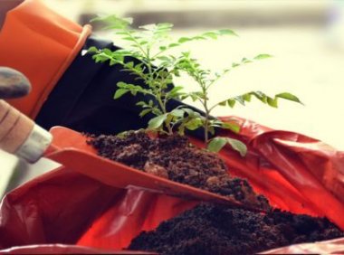 深圳美行思远艺术留学如何？ 美行思远学费