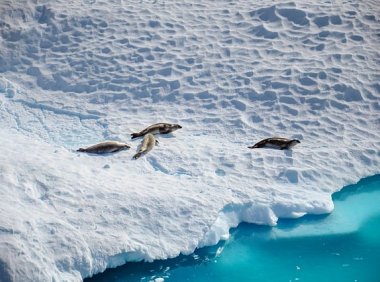 玉林学考成绩查询入口网站（https://www.gxeea.cn/）