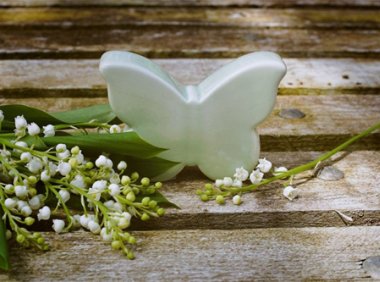 职校升学路②丨不用高考,“直通”大学!这条中职生专属升学路“省时又省力”!