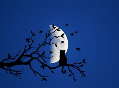 飘洋过海来看你歌词 李宗盛作词作曲的歌曲《漂洋过海来看你》歌词