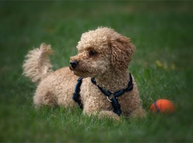 插画专业如何选择国家？各国插画特点集合 国外插画专业大学排名