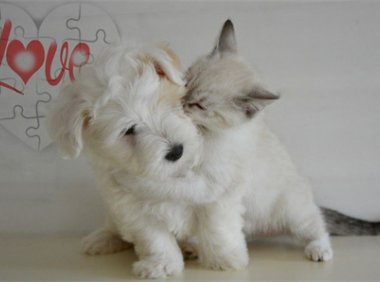 Suffice / 歌手:Toosii 歌曲百度网盘下载