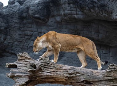 孝歌歌词:《十八条好汉》自编