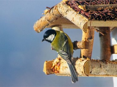 孝歌歌词:《哭娘》完整版