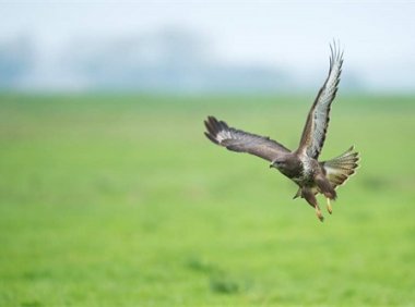 “中国风”还是“国风”？谁说傻傻分不清楚！ 中国国风定义是什么