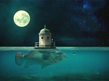 刘庆轩 / 歌手：虎啸春 歌曲MV下载