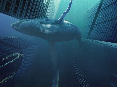 艺术院校|谢尔丹学院怎么样？ 谢尔丹理工