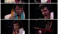 猫王ELVISAlohaFromHawajjViaSatellite1973[BDMV44.5GB] 演唱会MV下载