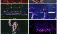 Juice=Juice10thANNIVERSARYCONCERTTOUR～10thJuiceatBUDOKAN～2023[BDISO43.4GB] 演唱会MV下载