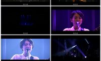 miwa-miwaballadcollectionlive2021~decade~[2023][BDISO36.8GB] 最新MV下载
