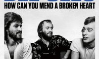 比吉斯乐队音乐纪录片TheBeeGees-HowCanYouMendaBrokenHeart2020《BDMV33.3GB》 演唱会MV下载