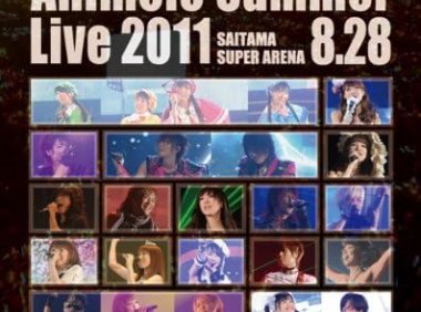 夏日漫音祭AnimeloSummerLive2011-rainbow-8.27.282012[BDISO4BD152GB] MV百度网盘下载