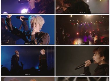 EMPiRE-NEWEMPiRETOURSEMi-FiNALatSHINJUKUBLAZE2019[BDISO29.9GB] MV百度网盘下载
