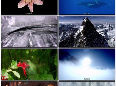 Forsenses-AFascinatingJourneyintoNature&Sound2009[BDMV14.3GB] MV下载