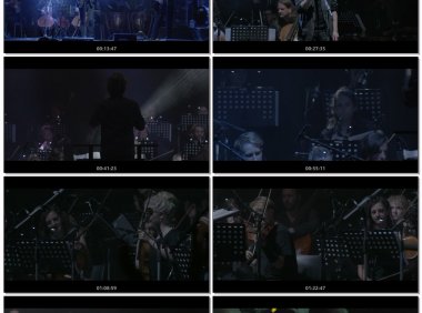 NewModelArmy-Sinfonia2023[BDMV20.3GB] 演唱会MV下载